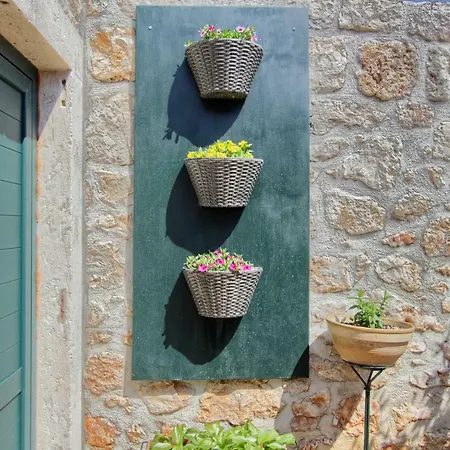 Appartement Camelia